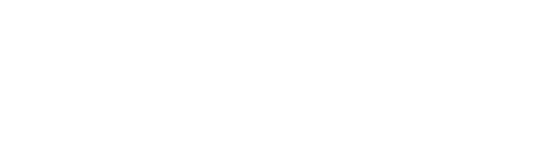 Nesite-2 Nesite-2